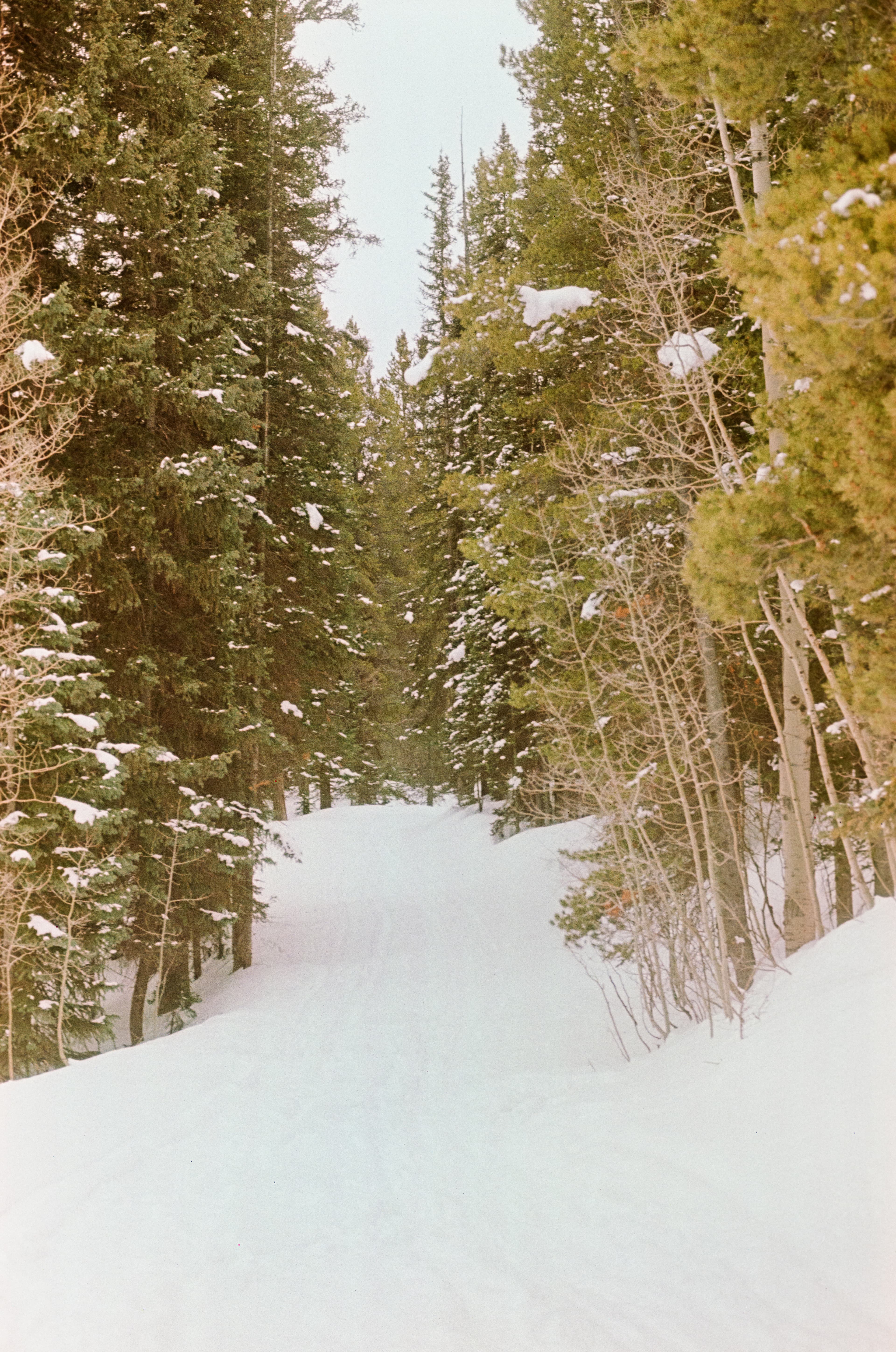 Photo 30