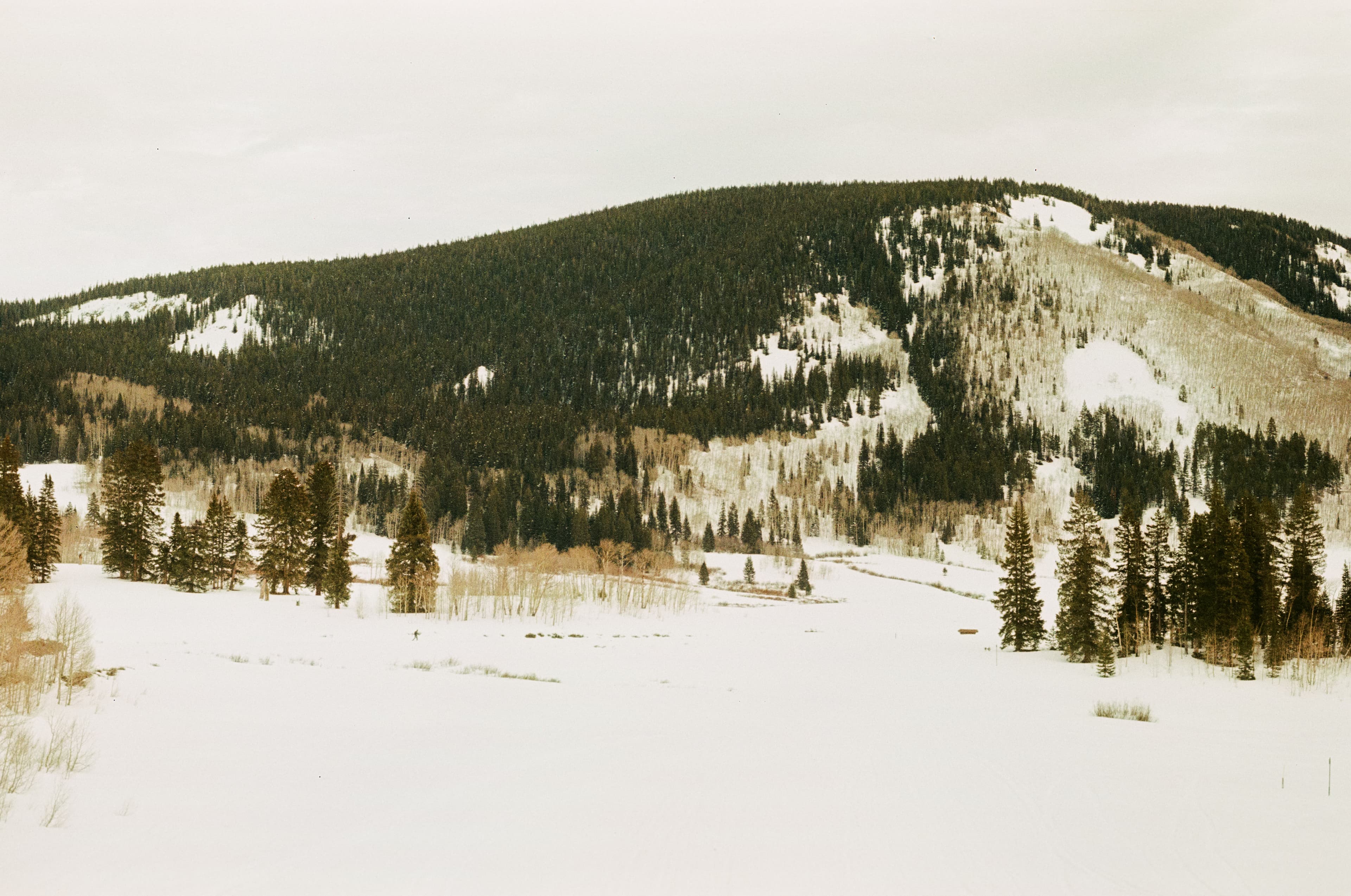 Photo 33