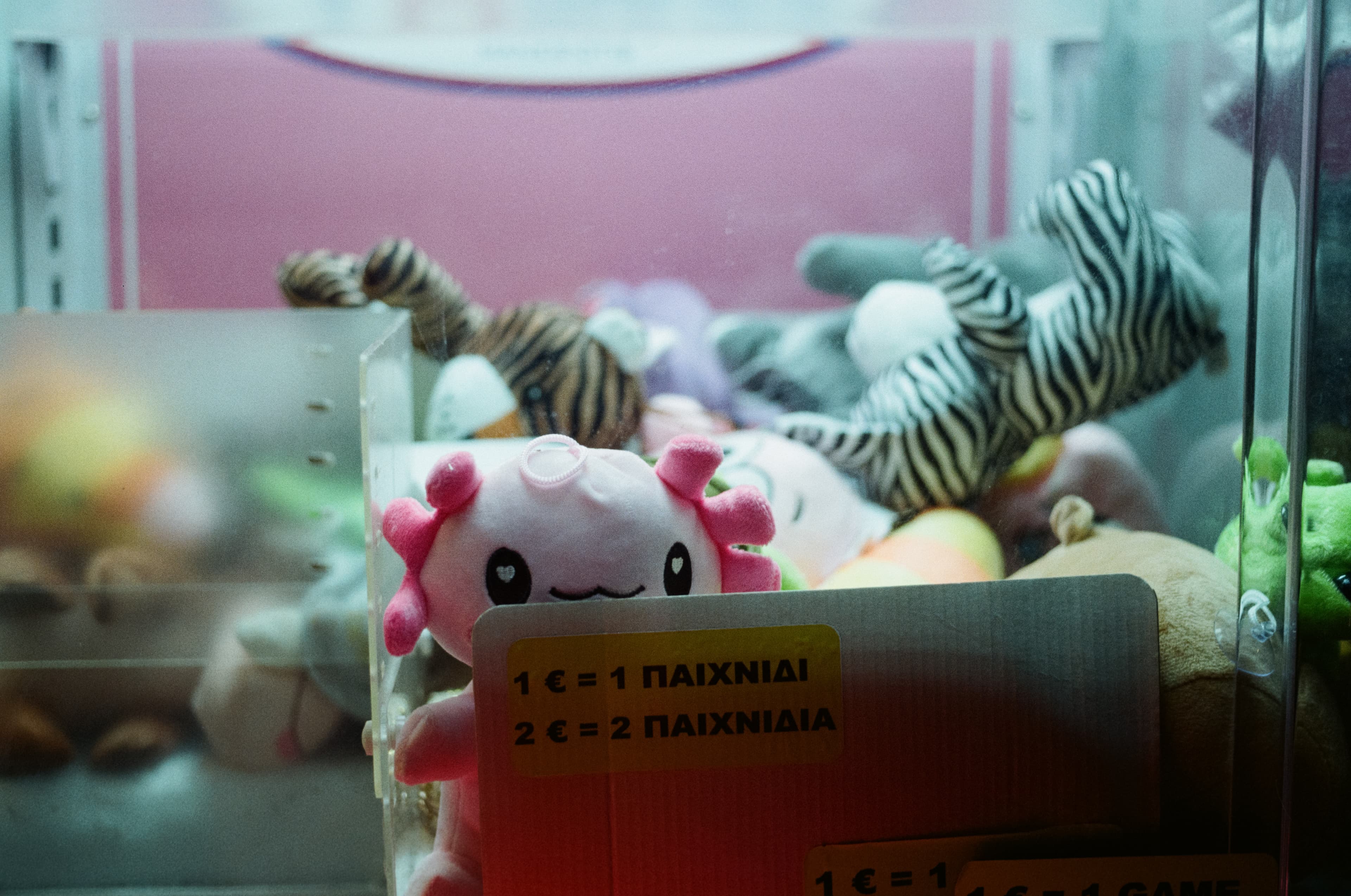 Photo 38